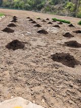 팜모닝 기타작물·영농일지 게시글 이미지