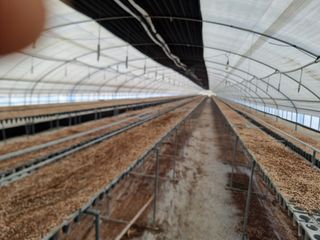 김동출님의 기타작물 · 영농일지 작성글 사진