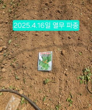 멧돼지님의 기타작물 · 영농일지 작성글 사진