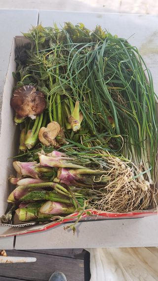 유혜영님의 기타작물 · 영농일지 작성글 사진