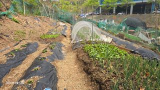 유기농부님의 기타작물 · 영농일지 작성글 사진