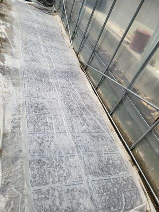 이상욱님의 참깨 · 영농일지 작성글 사진