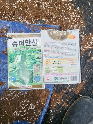 이상욱님의 참깨 · 영농일지 작성글 사진