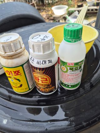 허민성님의 마늘 · 영농일지 작성글 사진