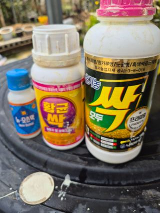 허민성님의 마늘 · 영농일지 작성글 사진