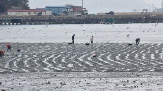 촌사리님의 기타작물 · 영농일지 작성글 사진