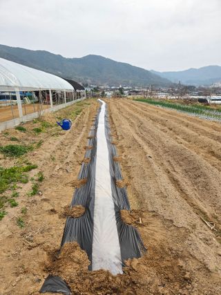 정민지호맘님의 기타작물 · 영농일지 작성글 사진