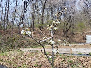 김홍중님의 기타작물 · 영농일지 작성글 사진