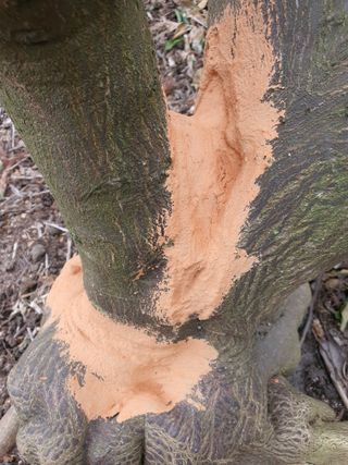 하나라도 소중하게님의 기타작물 · 영농일지 작성글 사진