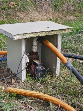 하이론님의 벼 · 영농일지 작성글 사진