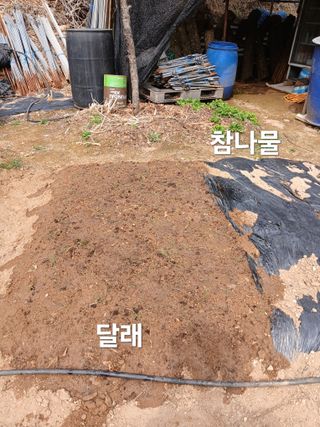 안승호님의 기타작물 · 영농일지 작성글 사진