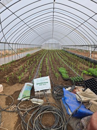 삼성리이충환님의 기타작물 · 영농일지 작성글 사진