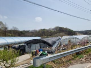 김동출님의 기타작물 · 영농일지 작성글 사진