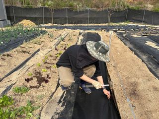 허석영님의 감자 · 영농일지 작성글 사진