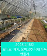 팜모닝 기타작물·영농일지 게시글 이미지