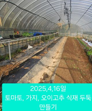 멧돼지님의 기타작물 · 영농일지 작성글 사진