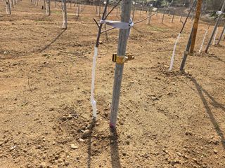 이흥식(청아농원)님의 사과 · 영농일지 작성글 사진