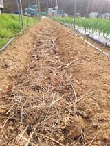 팜모닝 기타작물·영농일지 게시글 이미지