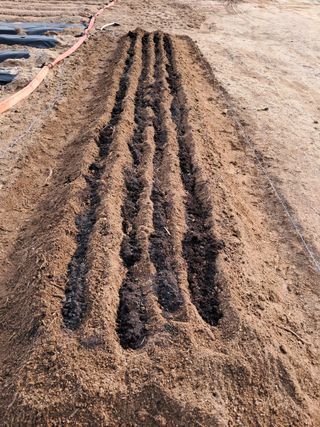 용기님의 기타작물 · 영농일지 작성글 사진
