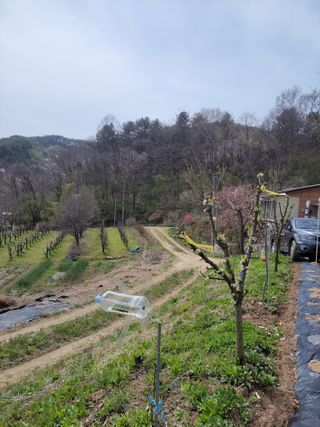 김홍중님의 기타작물 · 영농일지 작성글 사진