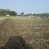 팜모닝 벼·영농일지 게시글 이미지