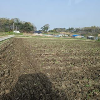 전준식님의 벼 · 영농일지 작성글 사진