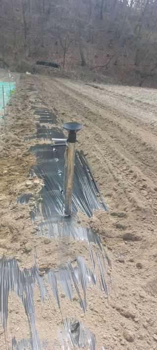 Blackbear님의 기타작물 · 영농일지 작성글 사진