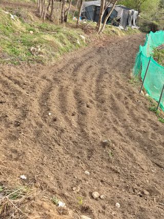 진문거사님의 호박 · 영농일지 작성글 사진