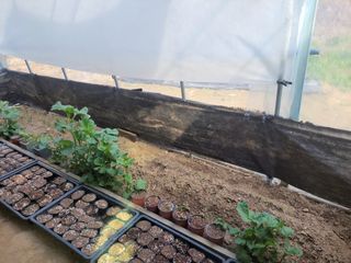 김홍중님의 기타작물 · 영농일지 작성글 사진