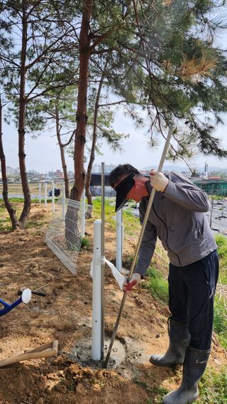 신애현님의 기타작물 · 영농일지 작성글 사진