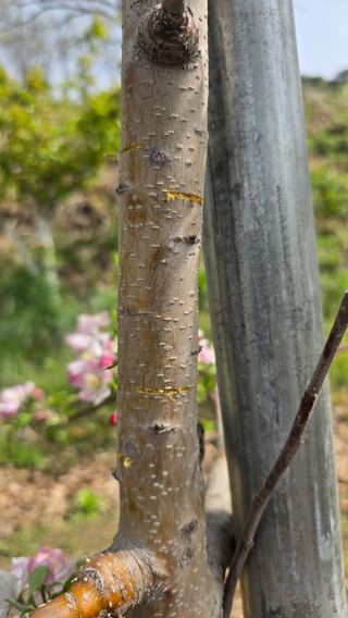 최해목님의 기타작물 · 영농일지 작성글 사진