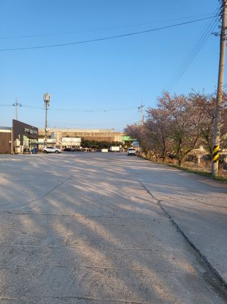 하태묵님의 고추 · 영농일지 작성글 사진