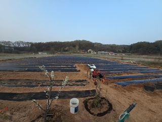 류승원님의 기타작물 · 영농일지 작성글 사진