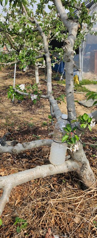 종합선물세트님의 기타작물 · 영농일지 작성글 사진