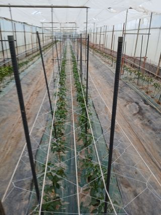 두릅나무16138님의 기타작물 · 영농일지 작성글 사진