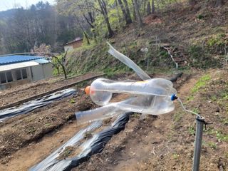 김홍중님의 기타작물 · 영농일지 작성글 사진