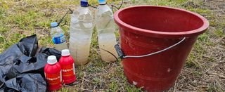 종합선물세트님의 기타작물 · 영농일지 작성글 사진