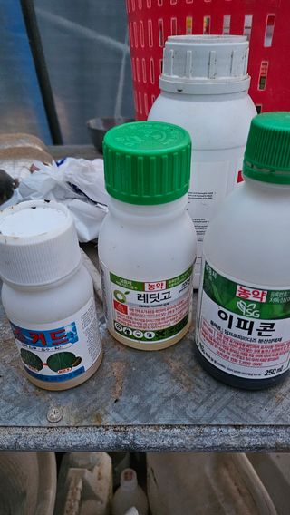 김명숙님의 오이 · 영농일지 작성글 사진