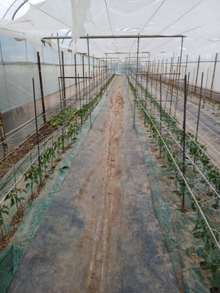 두릅나무16138님의 기타작물 · 영농일지 작성글 사진