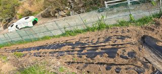 진전님의 기타작물 · 영농일지 작성글 사진