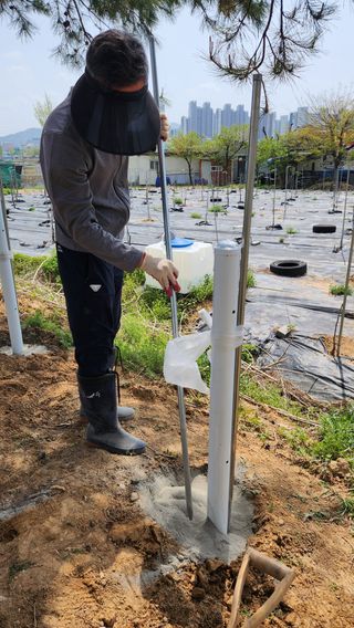 신애현님의 기타작물 · 영농일지 작성글 사진