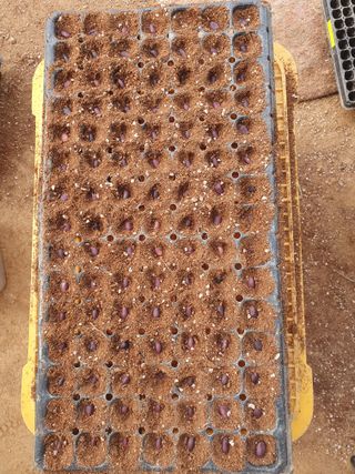 구봉갑산님의 기타작물 · 영농일지 작성글 사진