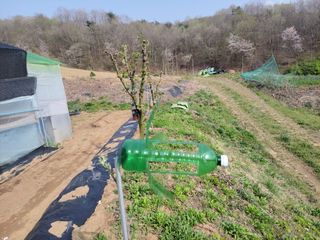 김홍중님의 기타작물 · 영농일지 작성글 사진