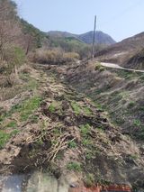 팜모닝 기타작물·영농일지 게시글 이미지