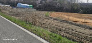 초보농부님의 벼 · 영농일지 작성글 사진