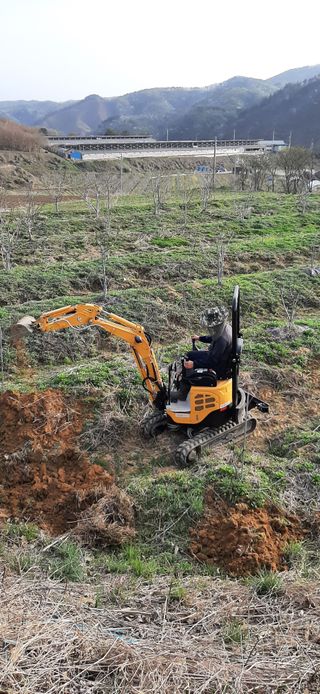 마이산 호두농원님의 기타작물 · 영농일지 작성글 사진