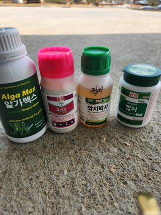 백현목님의 포도 · 영농일지 작성글 사진