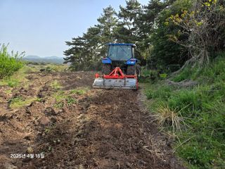 Captain김상곤님의 매실 · 영농일지 작성글 사진