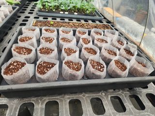 장재성님의 오이 · 영농일지 작성글 사진