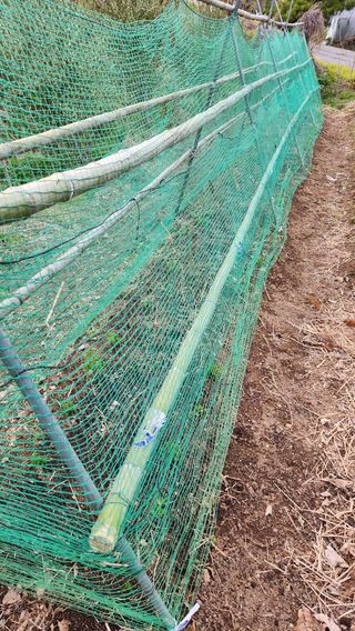 현길01021982님의 기타작물 · 영농일지 작성글 사진